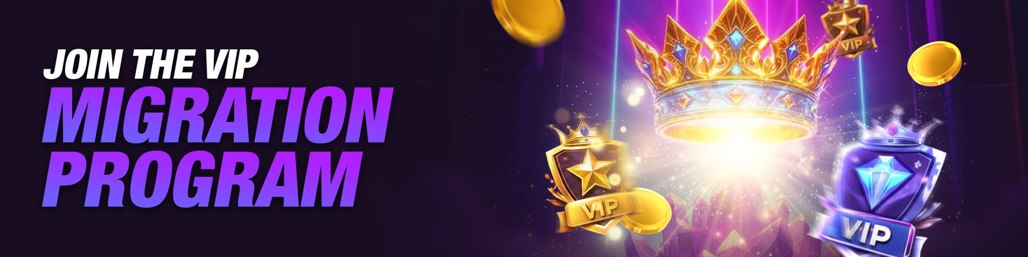 VIP PROGRAM